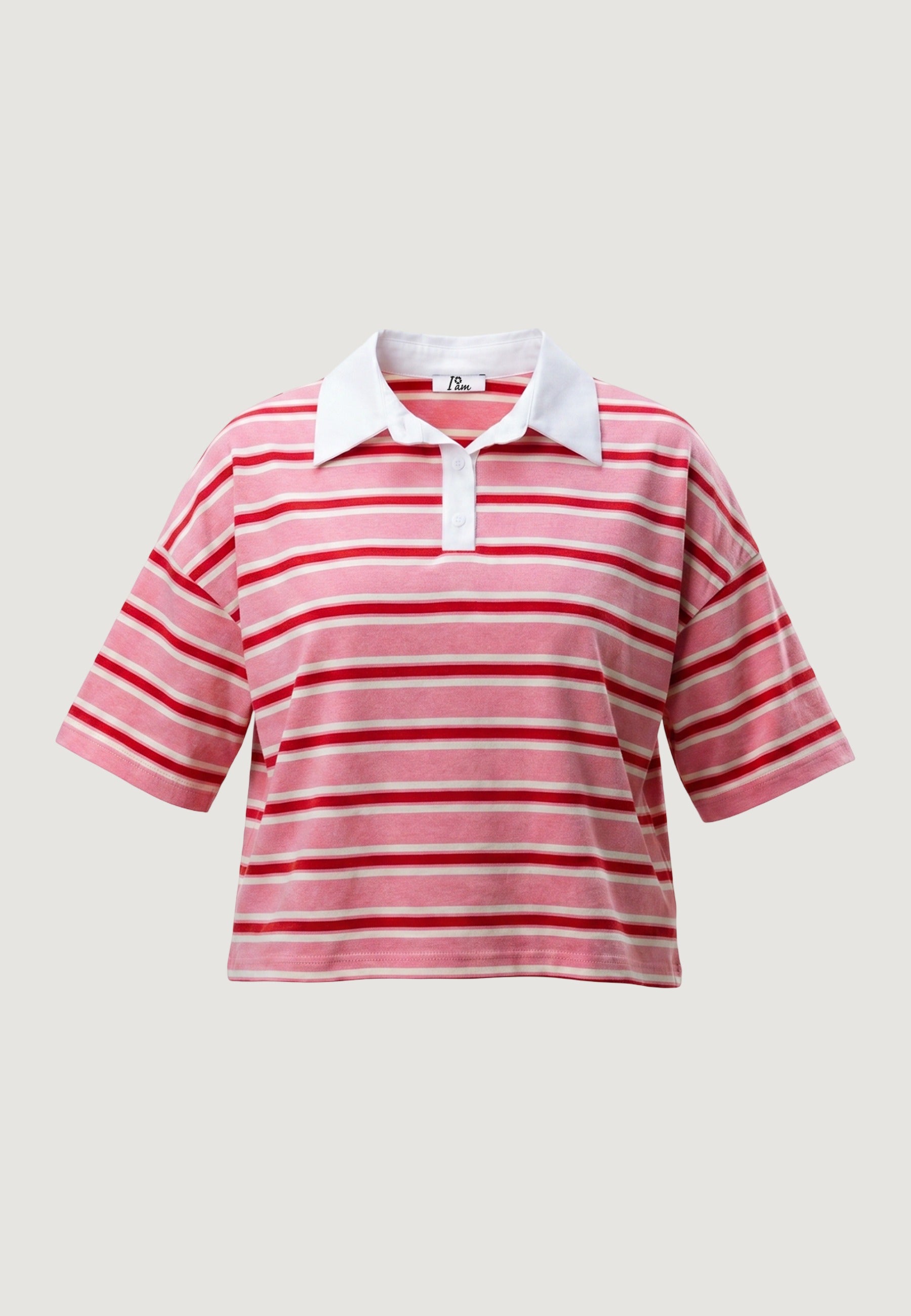 Polo Cotone Righe